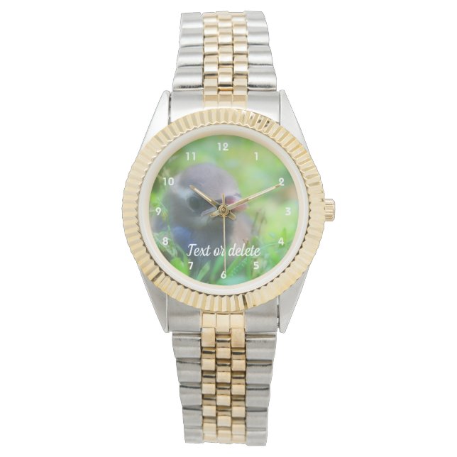 Baby Cedar Waxwing Fledgling Bird Personalized Watch (Front)