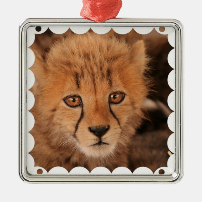 Baby Cheetah Ornament (Front)