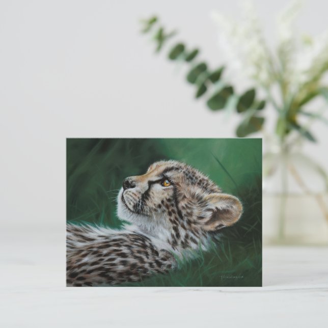 Baby Cheetah Postcard Set 10 (Standing Front)