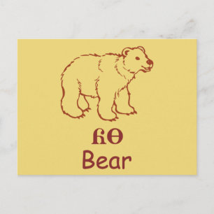 Baby Cherokee Bear Postcard