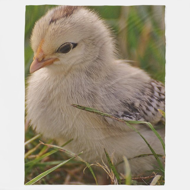 Baby Chick Fleece Blanket (Front)