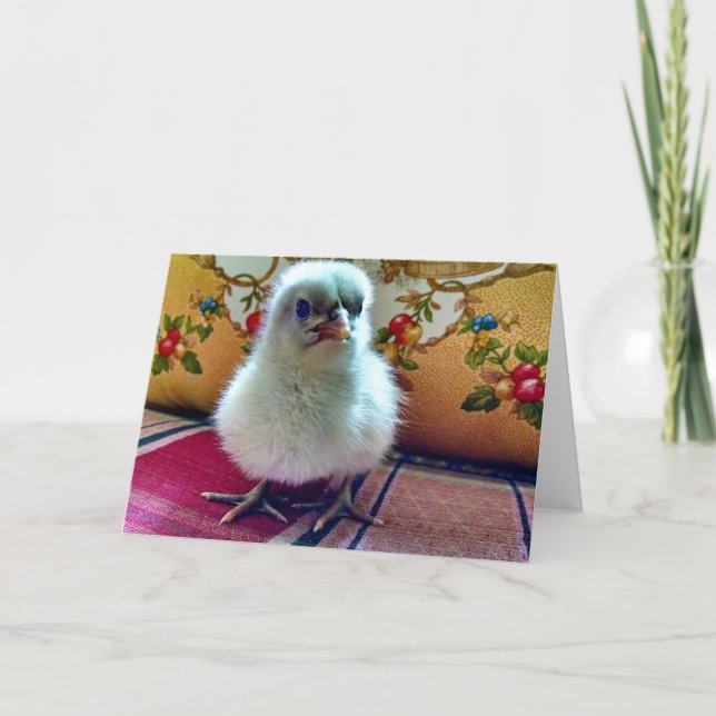 Baby Chick Greeting Card (Front)