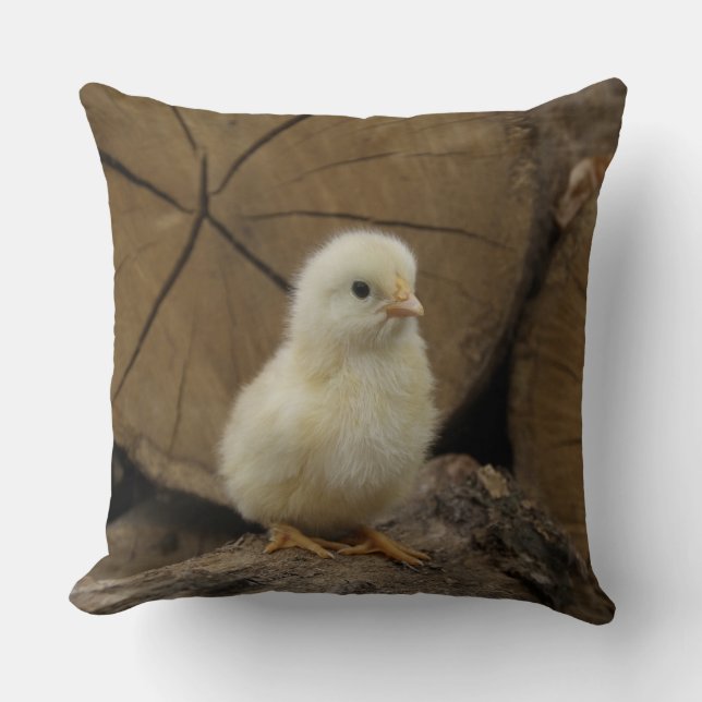 Baby Chick On Logs Throw Pillow (Front)