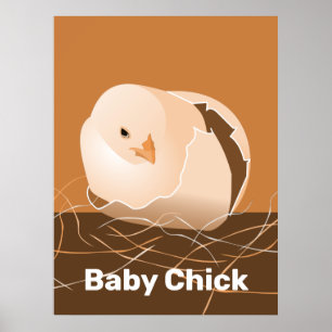 Baby Chick Orange Kitchen Wall Art
