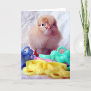 Baby Chick, Perfect For Baby Shower Invitation