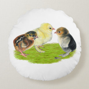 Baby Chick Trio Round Pillow