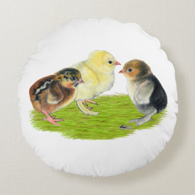 Baby Chick Trio Round Pillow (Front)