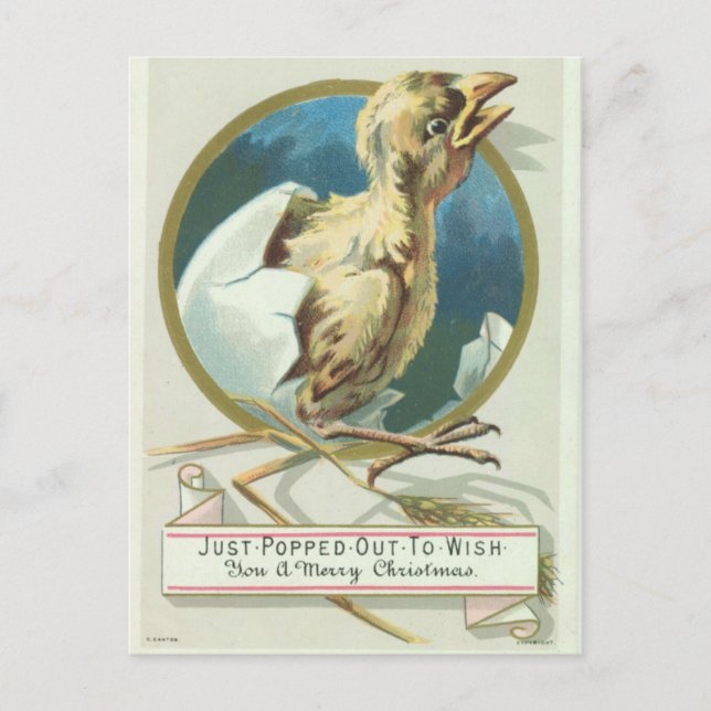 Baby Chick Victorian Christmas Card (Front)