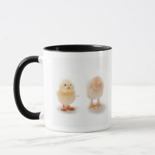 Baby chicken and fake mechanical chicken mug