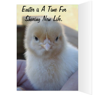 Baby_Chicken_Easter_Card.