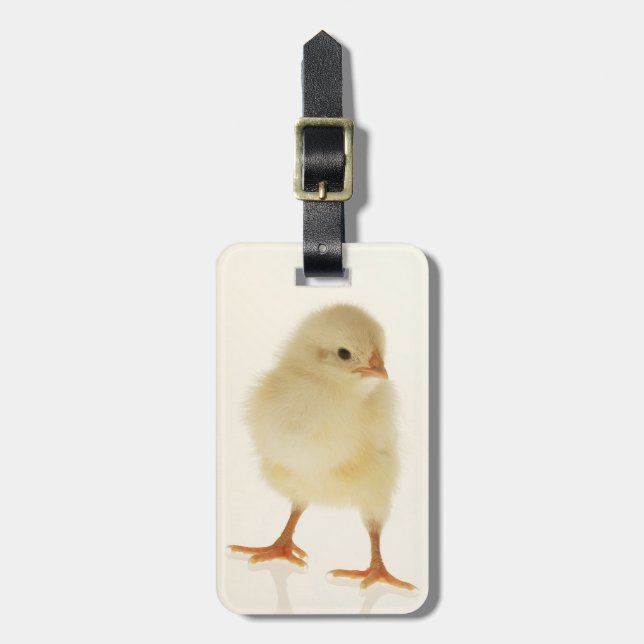 Baby chicken luggage tag (Front Vertical)