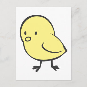 Baby Chicken Postcard