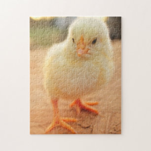 Baby Chicks Jigsaw Puzzle