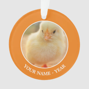 Baby Chicks Ornament