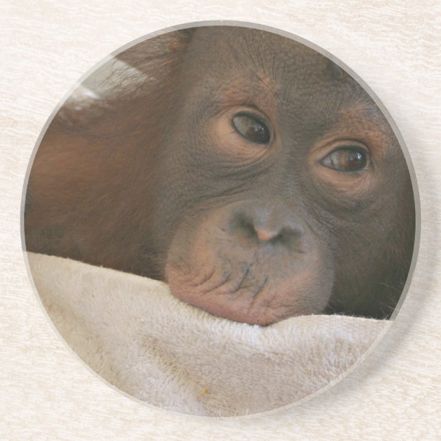Baby Chimp Coasters (Front)