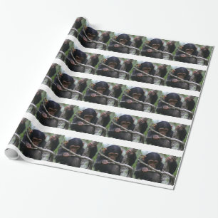 Baby Chimpanzee Wrapping Paper