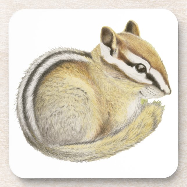 Baby Chipmunk Coaster (Front)