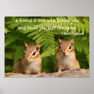 Baby Chipmunk Friends Citation Poster