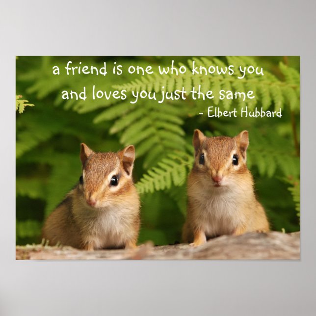 Baby Chipmunk Friends Citation Poster (Devant)