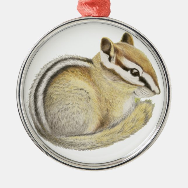 Baby Chipmunk Metal Ornament (Front)