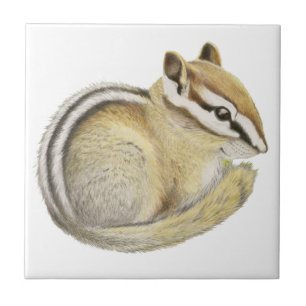 Baby Chipmunk Tile