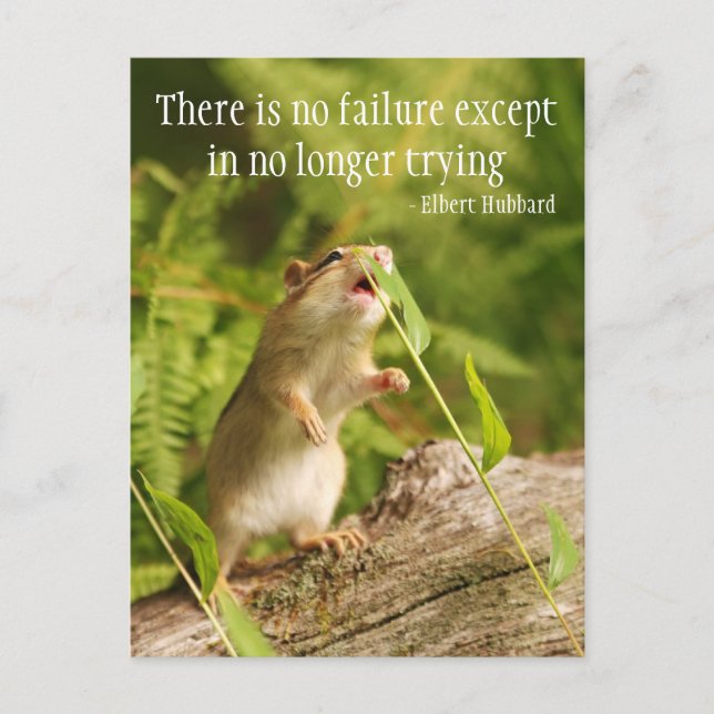 Baby Chipmunk Try Quote Postcard (Front)