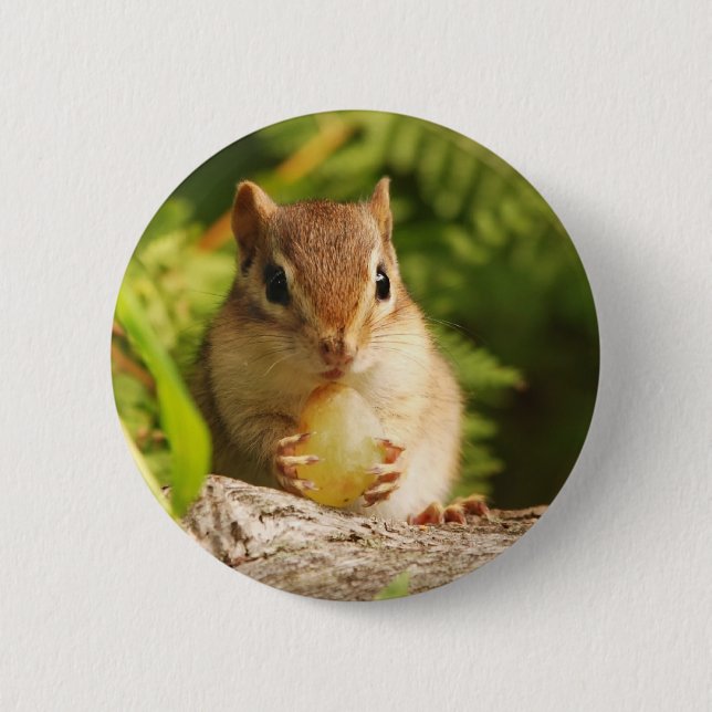 Baby Chipmunk with snack 2 Inch Round Button (Front)