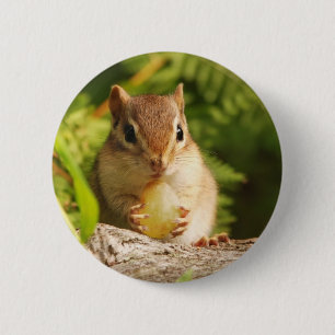 Baby Chipmunk with snack 2 Inch Round Button