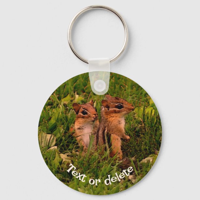 Baby Chipmunks Animal Art Personalized Keychain (Front)