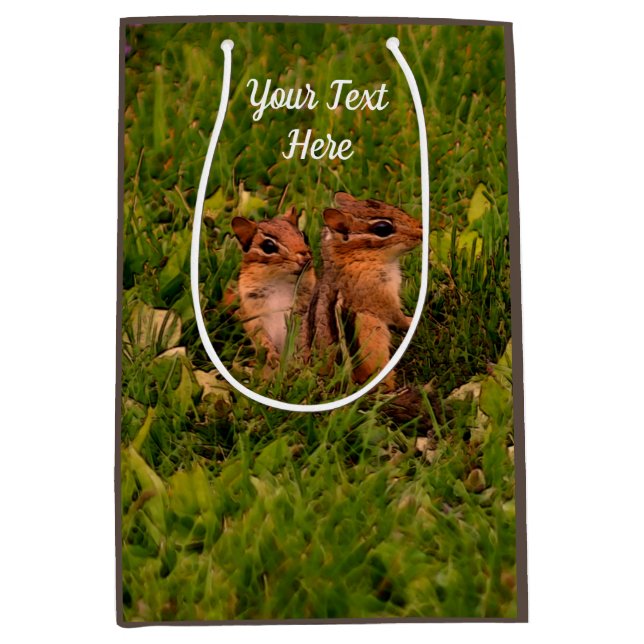 Baby Chipmunks Animal Art Personalized Medium Gift Bag (Front)