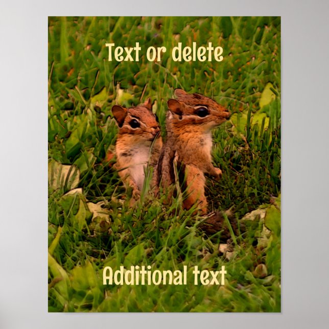 Baby Chipmunks Animal Art Personalized  Poster (Front)