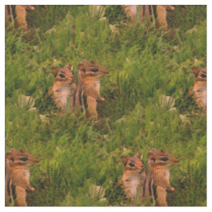 Baby Chipmunks Animal Nature Art Fabric