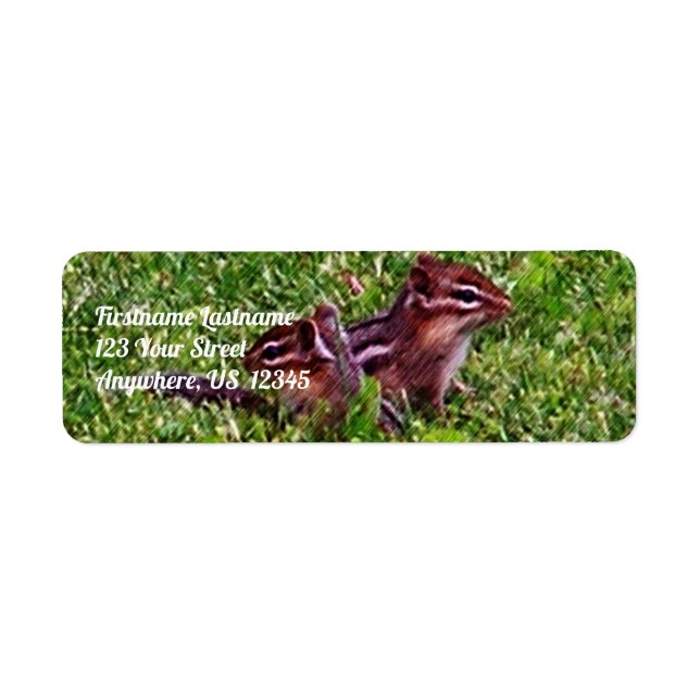 Baby Chipmunks First Day #4 Animal Address (Front)