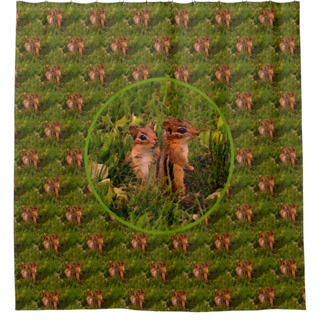 Baby Chipmunks Nature Art Pattern  (Front)