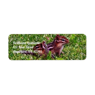 Baby Chipmunks Premier jour #4 Adresse animale