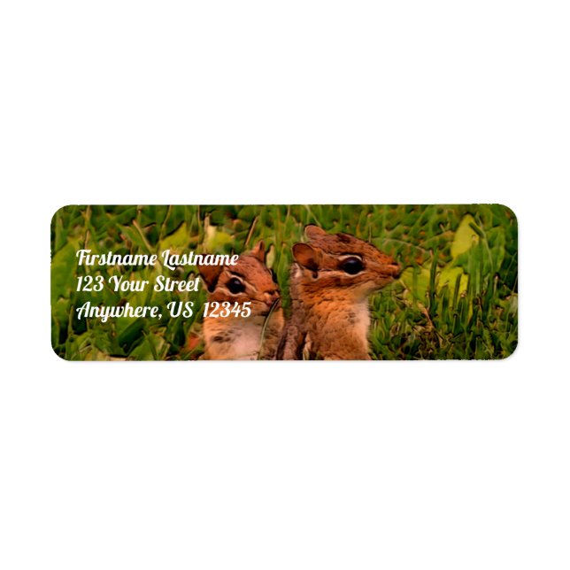 Baby Chipmunks Wildlife Animal Art Adresse (Devant)