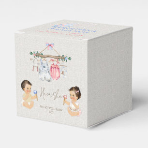 Baby Clothes Gender Reveal Ivory Pink Blue Favor Box