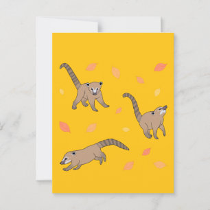 Baby Coatis Postcard