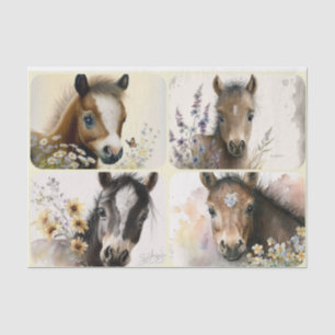 Baby Colts Tissue Paper