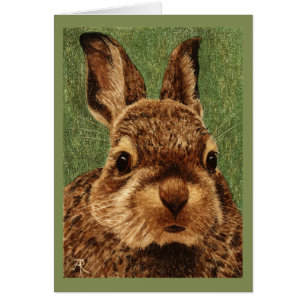 Baby Cottontail Rabbit Card