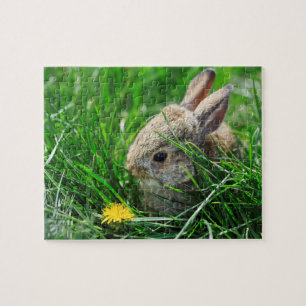 Baby Cottontail Rabbit Jigsaw Puzzle