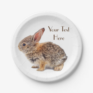 Baby Cottontail Rabbit Paper Plate