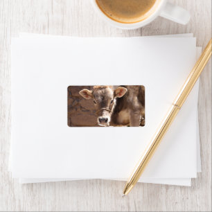Baby Cow - Brown Baby Calf Close Up Face Label