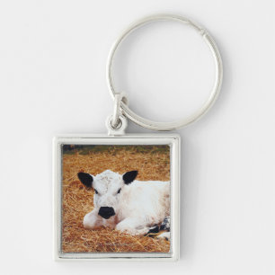 Baby Cow, Calf Keychain