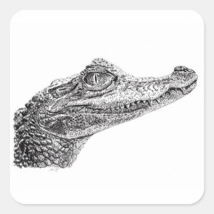 Baby Crocodile Ink Drawing Square Sticker