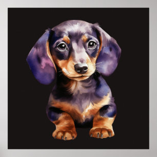 Baby Dachshund Poster