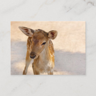 Baby Deer Appointment Card