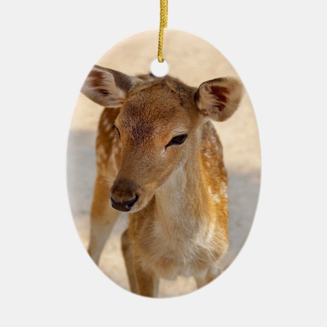Baby Deer Ceramic Ornament (Front)