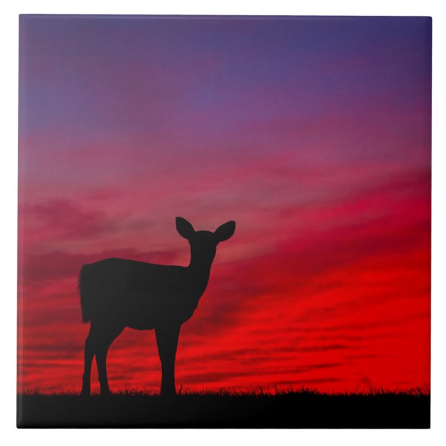 Baby Deer Ceramic Tile (Front)