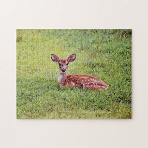 Baby Deer Cute Fawn Animal Art Puzzle